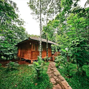 Bamboo Creek ** Vaduvanchal
